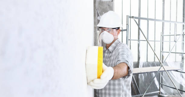  Woodbine, GA Mold Removal & Remediation Pros