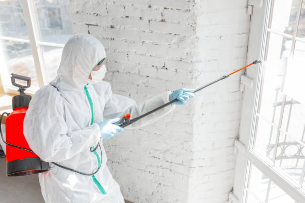 Best Mold Prevention Services  in Woodbine, GA