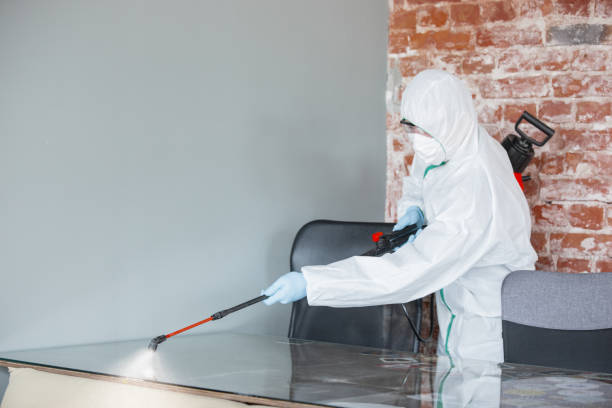 Best Water Damage & Mold Remediation  in Woodbine, GA