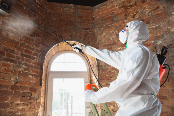 Best Asbestos and Lead Testing During Mold Inspection  in Woodbine, GA