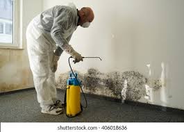 Best Industrial Mold Remediation  in Woodbine, GA